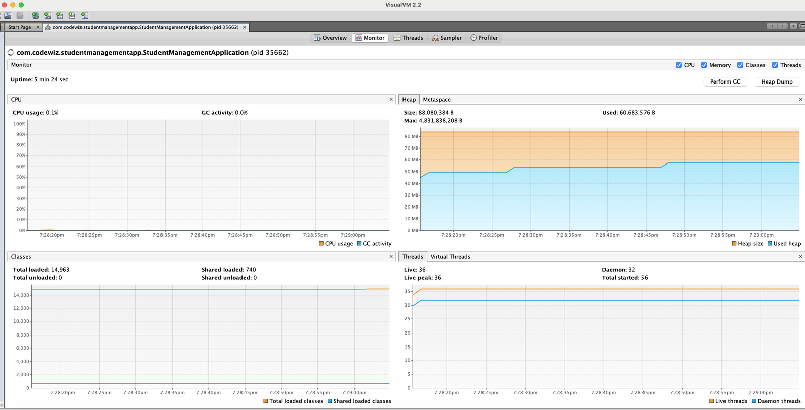 JVisual VM