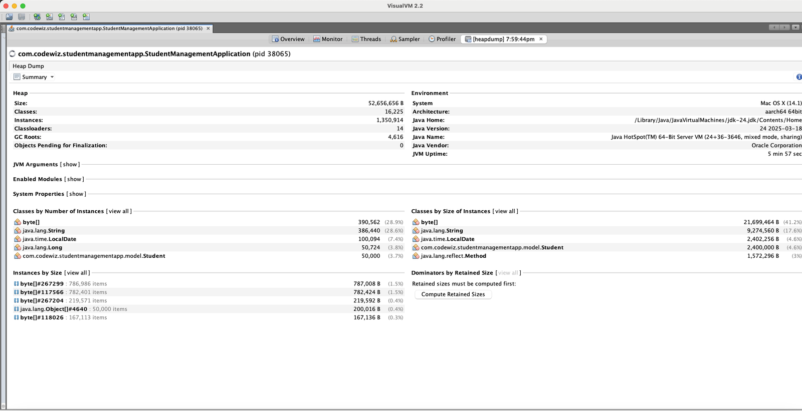 Visual VM